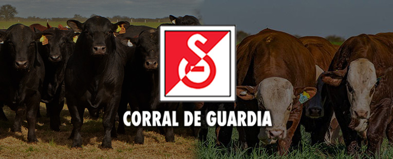 27° Remate Corral de Guardia en Resistencia, Chaco