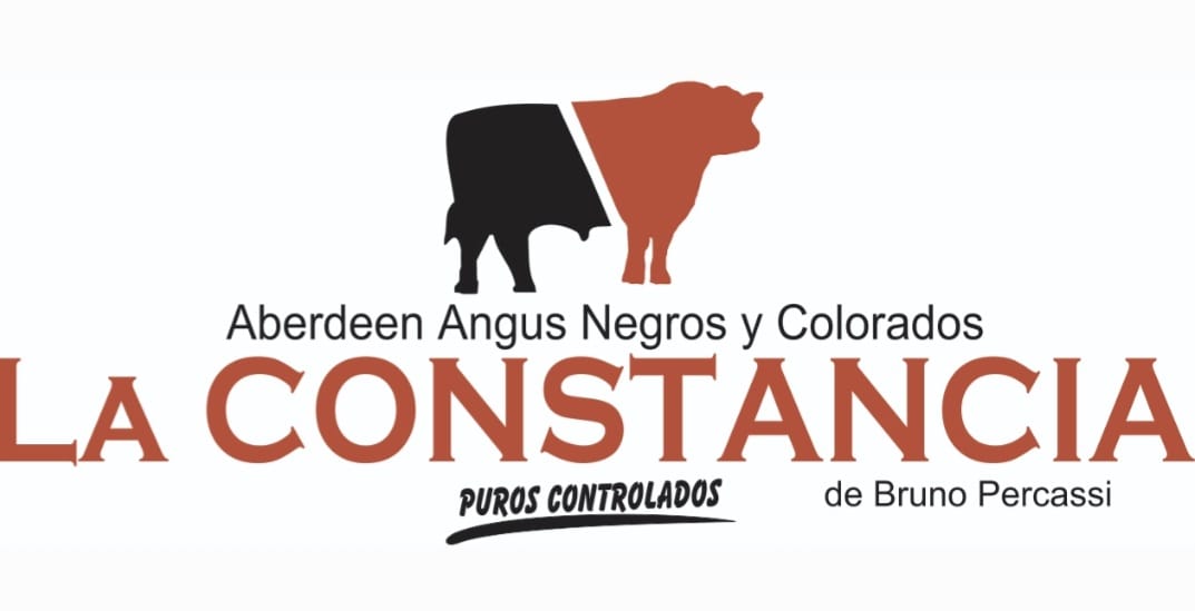 LA CONSTANCIA