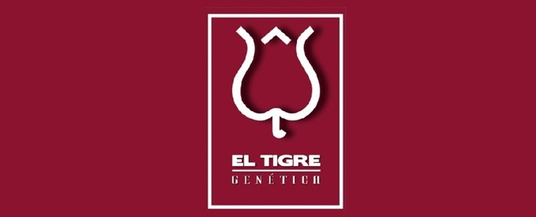 34º REMATE ANUAL CABAÑA EL TIGRE