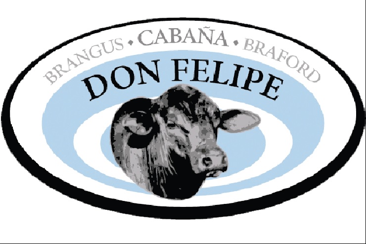 LOTE 1 CORRAL 86 - CABAÑA DON FELIPE